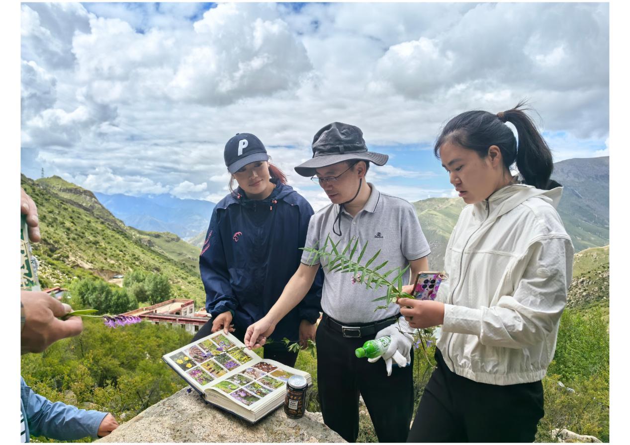 66ced103d6fa2.png 認藥.png